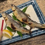 小川の魚 - 