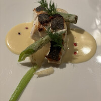 シーン - メインのお魚です