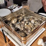 牡蠣と洋食イタリアン Koharu亭 - 