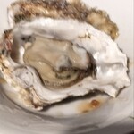 牡蠣と洋食イタリアン Koharu亭 - 