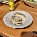 牡蠣と洋食イタリアン Koharu亭 - 
