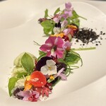 プレゼンテ スギ - Sugi畑をお皿に乗せて
      　ブラックオリーブセミドライ
      