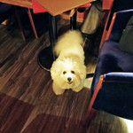 Rue Favart - 床はフローリング