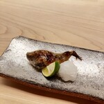 鮨 陸 - メヒカリ一夜干し