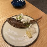 寿し 炭火 酒 酒都 - 