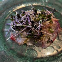 リストランテ アクアパッツァ - 