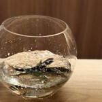 橦木町 しみず - めっちゃ元気！