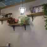 ジェラテリア アクオリーナ - 店内に移動すると、入口脇に緑を配した中々お洒落な雰囲気で