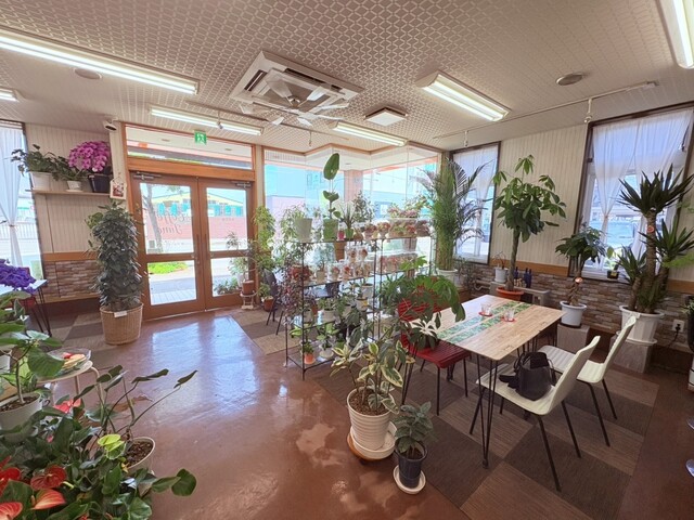 カフェ 花や - 弘前（カフェ）の写真