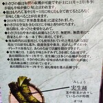 肉の宇佐川 - わさびの豆知識