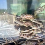 越前がに やまに水産 - 