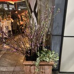 ピッツェリア・ダ・ガエターノ 薬院店 - 