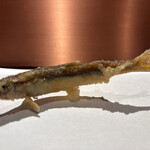 京都祇園天ぷら圓堂 - 