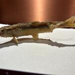 京都祇園天ぷら圓堂 - 