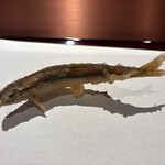 京都祇園天ぷら圓堂 - 