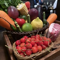 オッジ ダルマット 西麻布店 - 