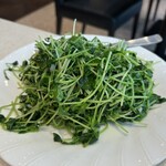 福満園 - 豆苗のニンニク炒め1100円、シャキッと炒まってて味付けもよかった。