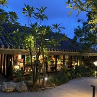 MOSS okinawa - 