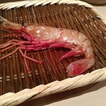 鮨 銀座 おのでら - 追加:牡丹海老