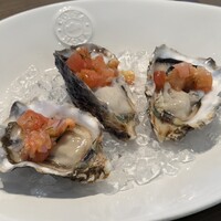 COLONIAL BEACH 横浜ハンマーヘッド - 