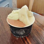 ジェラテリア アクオリーナ - 