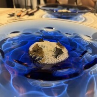 ニシデリア - 