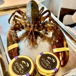 オザミトーキョー - 