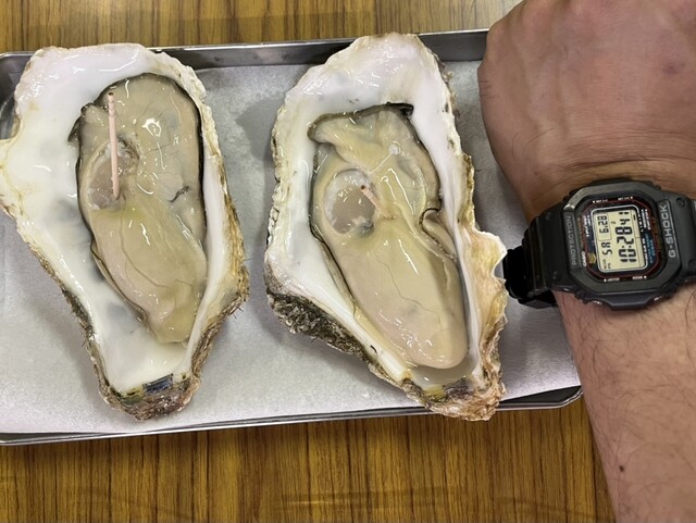 すっぽんかがや - 秋田（その他）の写真