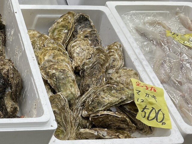 すっぽんかがや - 秋田（その他）の写真