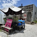 ライオンロック - 外観