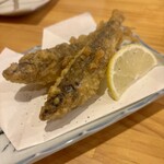 博多の味　まるひ - 