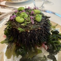 ポンドールイノ - 