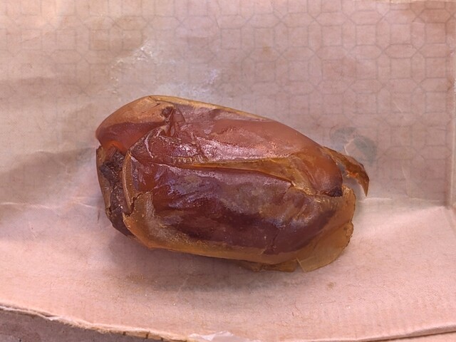 大阪関西万博49】可愛いらくだの缶に4粒入った味も食感も異なるデーツ