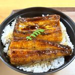 うなぎ和食処 松の家 - うな丼