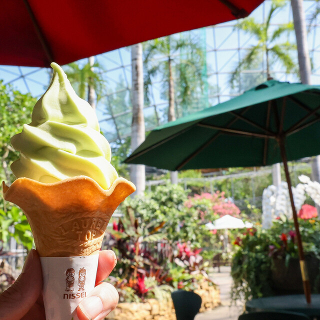 ソフトクリーム UNMIXed Sapporo | 札幌ソフトクリーム専門店 (@unmixed_sapporo