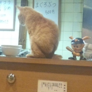 つるや_2