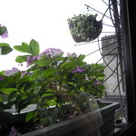 紅木屋休閒茶坊 - 