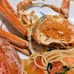 オステリアオオサキ - 