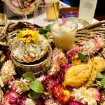 ラトラスフィス - 