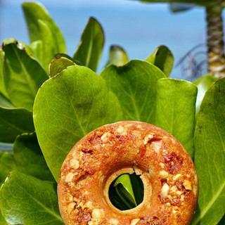 しまドーナッツ_1