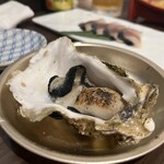 宮城直送 かきほや飛梅 - 