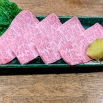 つねちゃん - ハネシタ