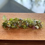 センプレ - ⑧彩(39種類の野菜と野菜ゼリーなどを使ったオードブル)