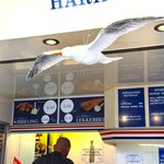 Buitenhof Herring Stall - 店内