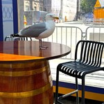 Buitenhof Herring Stall - カモメが狙ってます