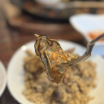 オオミヤバル - 牡蠣