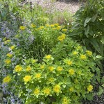 菓子工房 Lammin - 