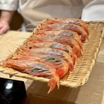 恵比寿 鮨 ふじまさ - 海老