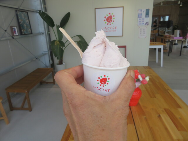 いちごてらす （ichigo terrace） - 桜木/ジェラート・アイスクリーム