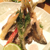 魚匠 基  大門町 - 稚鮎天ぷら